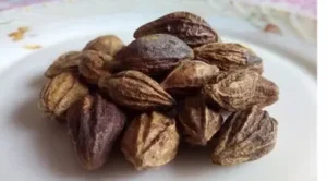 Haritaki-Uses-Benefits-Health-Beauty-Emotional-Spiritual-Benefits-of-Haritaki-or-Harad-Shushen-Herbals-48599783